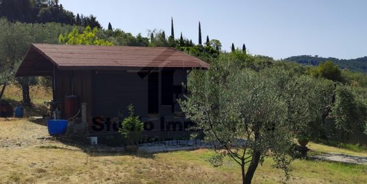 Terreno Agricolo con annesso in vendita a San Romolo – TR/10